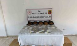 Kaçak tütün operasyonu