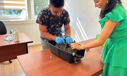 Kedi ve köpeklerin kimliklendirilmesi için son tarih 31 Aralık