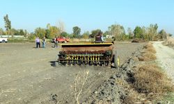 Mera alanları işgalden kurtarılıyor