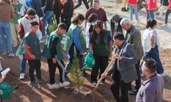 Mersin’de 500 fidan toprakla buluşturuldu