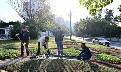 Muratpaşa’da Trafik Parkı çiçek bahçesine dönüştü