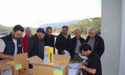 Organik tarıma mavi ve sarı yapışkan tuzak desteği