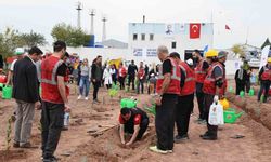 Osmaniye’de 11 Kasım Milli Ağaçlandırma Günü’nde fidanlar toprakla buluştu