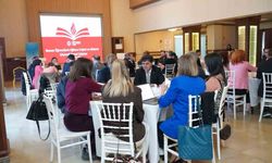 Roman Öğrencilerin Eğitime Erişimi Çalıştayı Mersin’de yapıldı