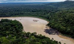 Amazon alarmda: Soya yasağının kaldırılması felaket getirebilir