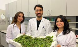 Bilgi’li Öğrenciler Antibiyotik Direncine Karşı Yenilikçi Ve Doğal Bir Yöntem Geliştirdi