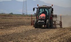 Azalan su kaynakları tarımda hem verimi hem de kaliteyi etkiliyor