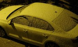 Bitlis'te soğuk hava yerini kara bıraktı