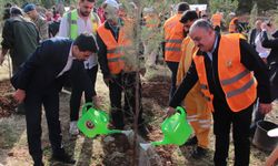 DEPSAŞ Enerji’den Makam Dağı’na 3 Bin Fidanlık Yeşil Dokunuş