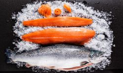 Doğu Karadeniz'in Türk somonu ihracatı 152 milyon doları aştı