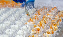 Emirates Flight Catering, Dubai Airshow’a Küresel Tatlar Taşıyor