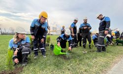 Eti Bakır’dan Ağaçlandırma Seferberliği