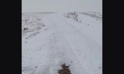 Afşin’in Yüksek Kesimlerine Mevsimin İlk Karı Düştü