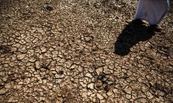 FAO'dan Türkiye'deki erozyon ve kuraklık tehlikesine 8,1 milyon dolarlık estek