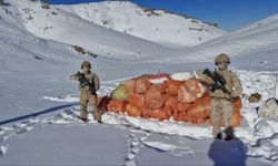 Hakkari'de 378 kilogram, Ağrı'da 773 litre uyuşturucu madde ele geçirildi