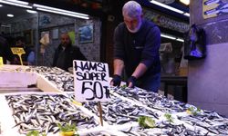 Hamsi bolluğu tezgahlara yansıdı