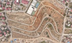 Kahramanmaraş'ta Karbon Emiliminin Artırılması İçin 75 Dönüm Alan Ağaçlandırılıyor