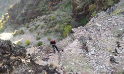 Kayalıklarda Mahsur Kalan Keçiler Kurtarıldı