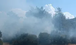 Kahramanmaraş'ta Orman Yangınına Müdahale Ediliyor