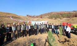 Orman Yangınlarında Kaybedilen Ağaçların Yerine Yeni Fidanlar Dikildi