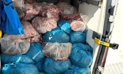 Tekirdağ'da 2 ton sakatat ele geçirildi