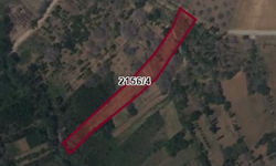 Afşin'de 4.934 M² Tarla İcradan Satılık