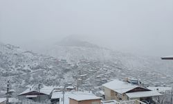 Adana'nın yüksek kesimlerinde kar yağışı etkili oldu