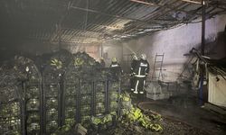 Antalya'da muz sarartma tesisinde çıkan yangın hasara yol açtı