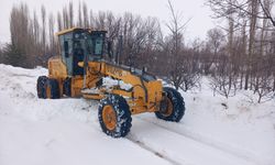 Antalya'nın yüksek kesimlerine kar yağdı