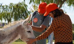 Borusan Grubu Okyanus Kampüsü projesini başlatacak