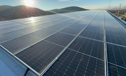 Devlet desteğiyle kurduğu tesiste hem elektrik hem de mantar üretiyor