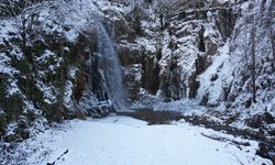 Gümüşhane'deki Çağlayandibi Şelalesi Tabiat Parkı beyaza büründü
