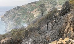 GÜNCELLEME - Antalya'da muz bahçelerinde çıkan yangın söndürüldü