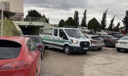 Hatay'da cipin çarptığı yaya hayatını kaybetti