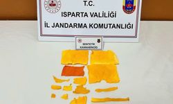 Isparta'da uyuşturucu operasyonunda yakalanan zanlı tutuklandı