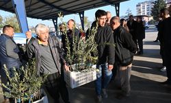 Kadirli ilçesinde üreticilere 10 bin 500 zeytin fidanı dağıtıldı