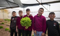 Köy okulunda eğitimi sınıflardan seralara, zeytin ve ceviz bahçelerine taşıdılar