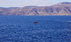 Mersin'de kayalıklarda mahsur kalan keçi kurtarıldı
