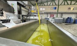 Muhtarın devlet desteğiyle kurduğu zeytinyağı üretim tesisi mahallelinin geçim kaynağı oldu