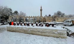 Şanlıurfa'daki tarihi Balıklıgöl beyaza büründü
