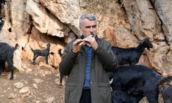 Yarım asırlık çoban kavalından çıkardığı nağmelerle sürüsünü kontrol ediyor