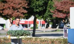 Konyaaltı’nda mevsimlik çiçek ekimi