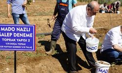 MADO'dan 'Salep Manifestosu'