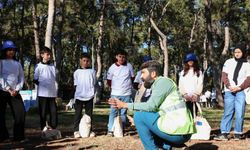 Orman ekosisteminde atıkların tehlikesi uygulamalı gösterildi