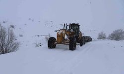 Ağrı’da kar yağışı 423 köy yolunu ulaşıma kapattı