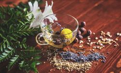 Bitki Koruma Ürünlerinin Satışında Yeni Dönem