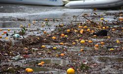 Bodrum'da Yağmur Suyuyla Denize Sürüklenen Atıklar Kıyıya Vurdu