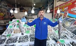 Denize Kıyısı Olmayan Kahramanmaraş'ta Balığa Yoğun İlgi