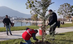 Elbistan’da Ağaçlandırma Seferberliği Devam Ediyor