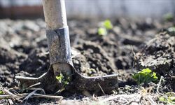 Gübre ve Tarım Sektörüne, Sınırda Karbon Düzenlemesi Uyarısı